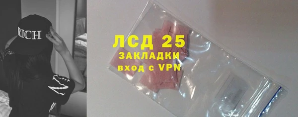 mdpv Вяземский